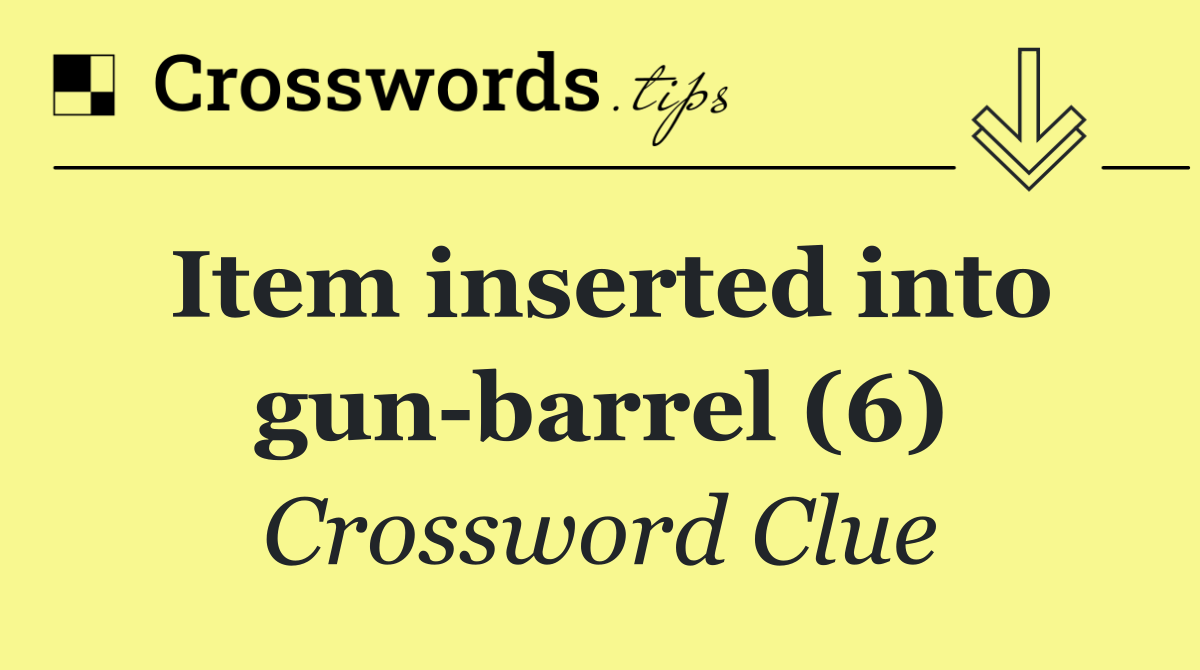 Item inserted into gun barrel (6)