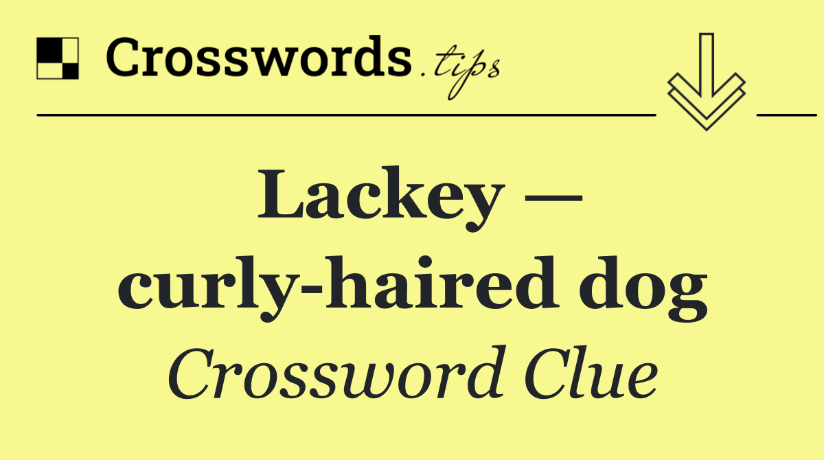 Lackey — curly haired dog