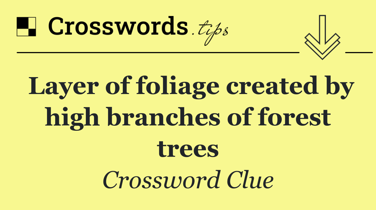 Layer of foliage created by high branches of forest trees