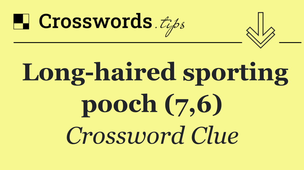 Long haired sporting pooch (7,6)