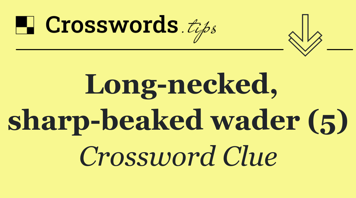 Long necked, sharp beaked wader (5)