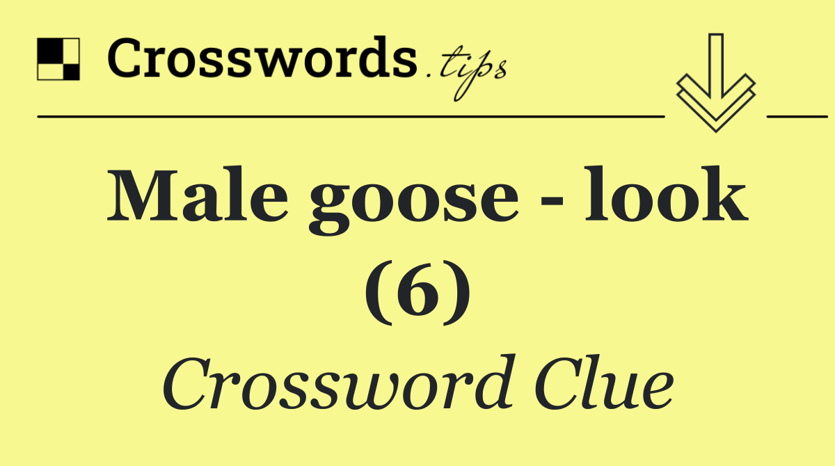 Male goose   look (6)