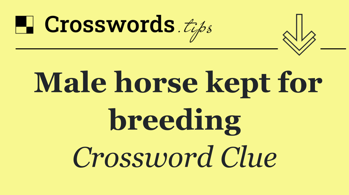 Male horse kept for breeding