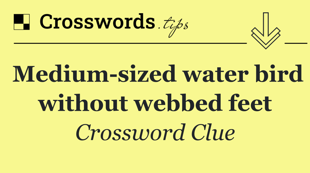 Medium sized water bird without webbed feet
