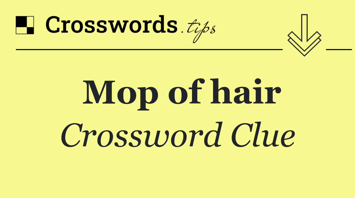 Mop of hair