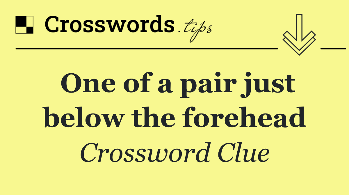 One of a pair just below the forehead