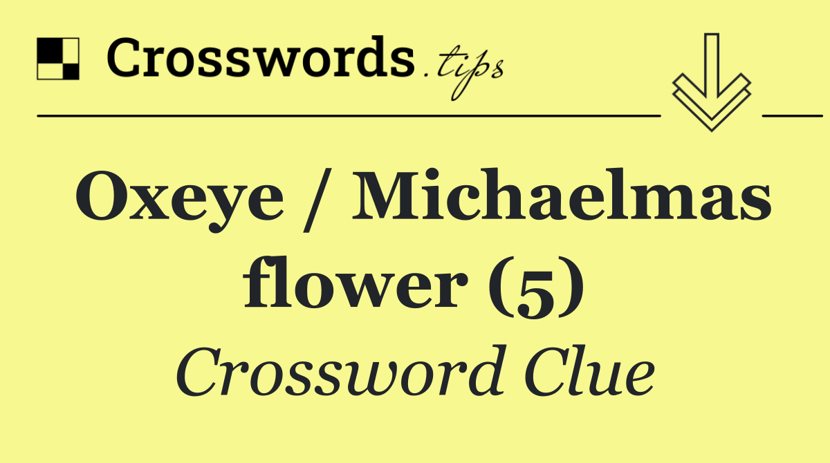 Oxeye / Michaelmas flower (5)