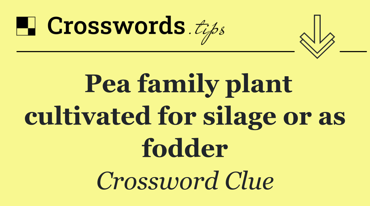 Pea family plant cultivated for silage or as fodder