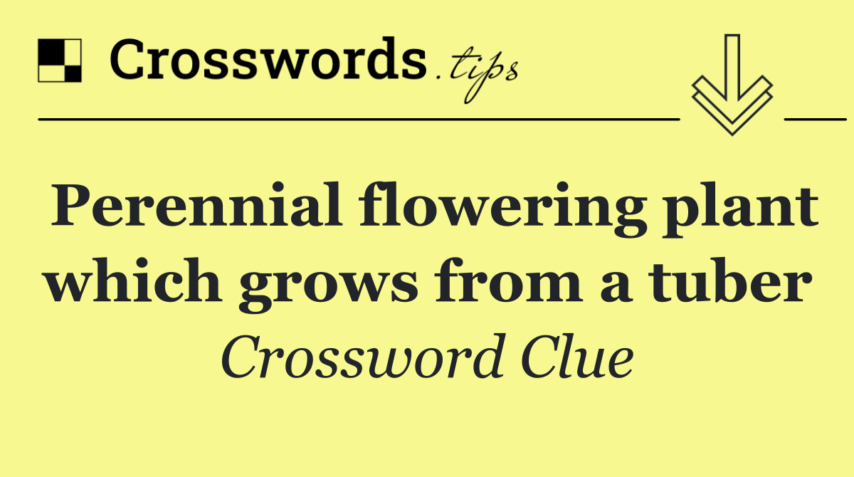 Perennial flowering plant which grows from a tuber