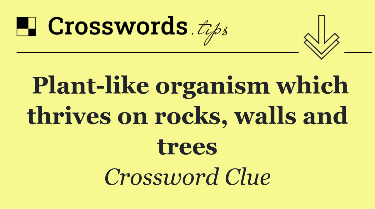 Plant like organism which thrives on rocks, walls and trees