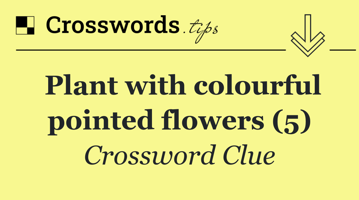Plant with colourful pointed flowers (5)