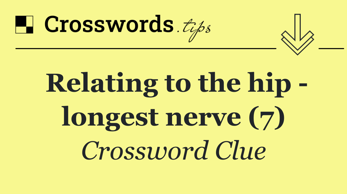 Relating to the hip   longest nerve (7)