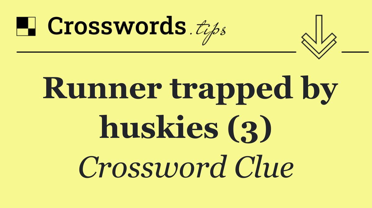 Runner trapped by huskies (3)