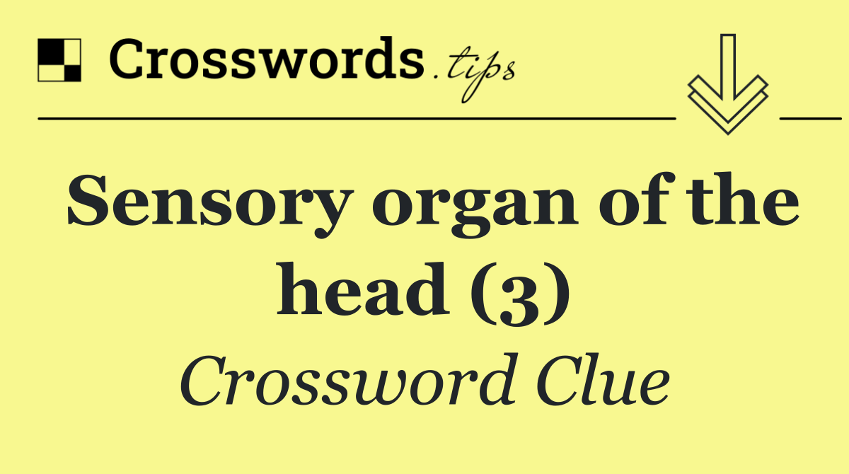 Sensory organ of the head (3)