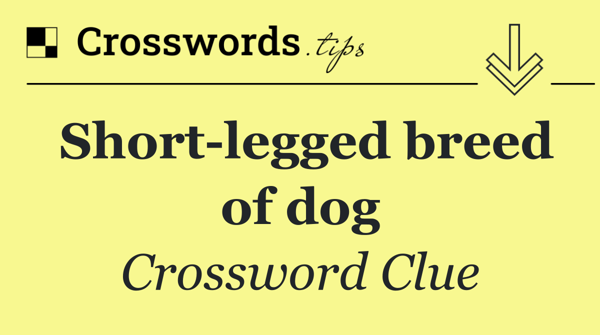 Short legged breed of dog