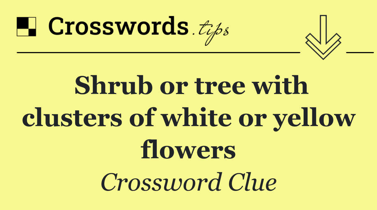 Shrub or tree with clusters of white or yellow flowers