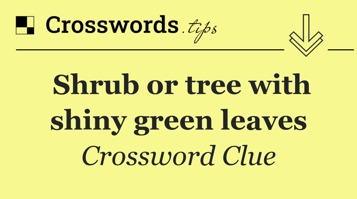 Shrub or tree with shiny green leaves