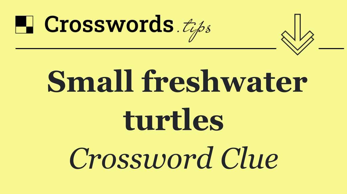 Small freshwater turtles