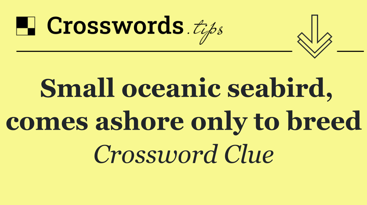 Small oceanic seabird, comes ashore only to breed