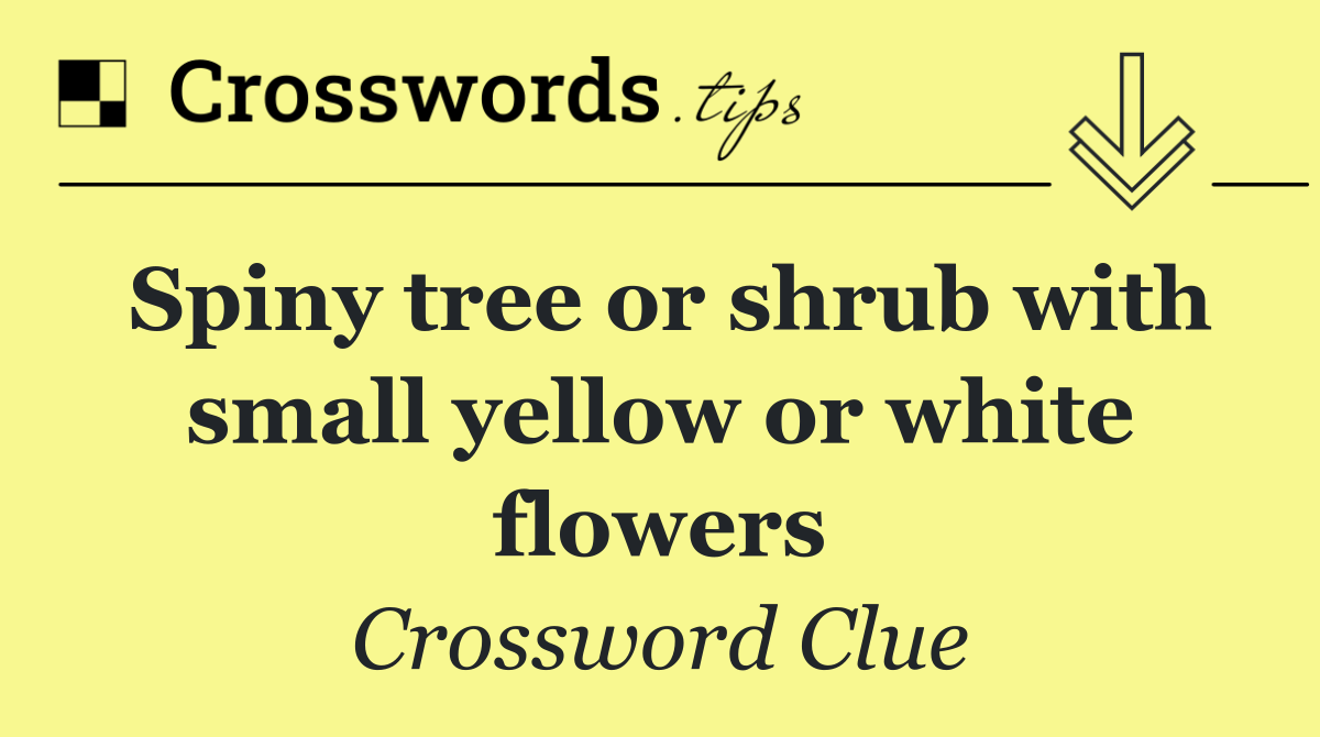 Spiny tree or shrub with small yellow or white flowers