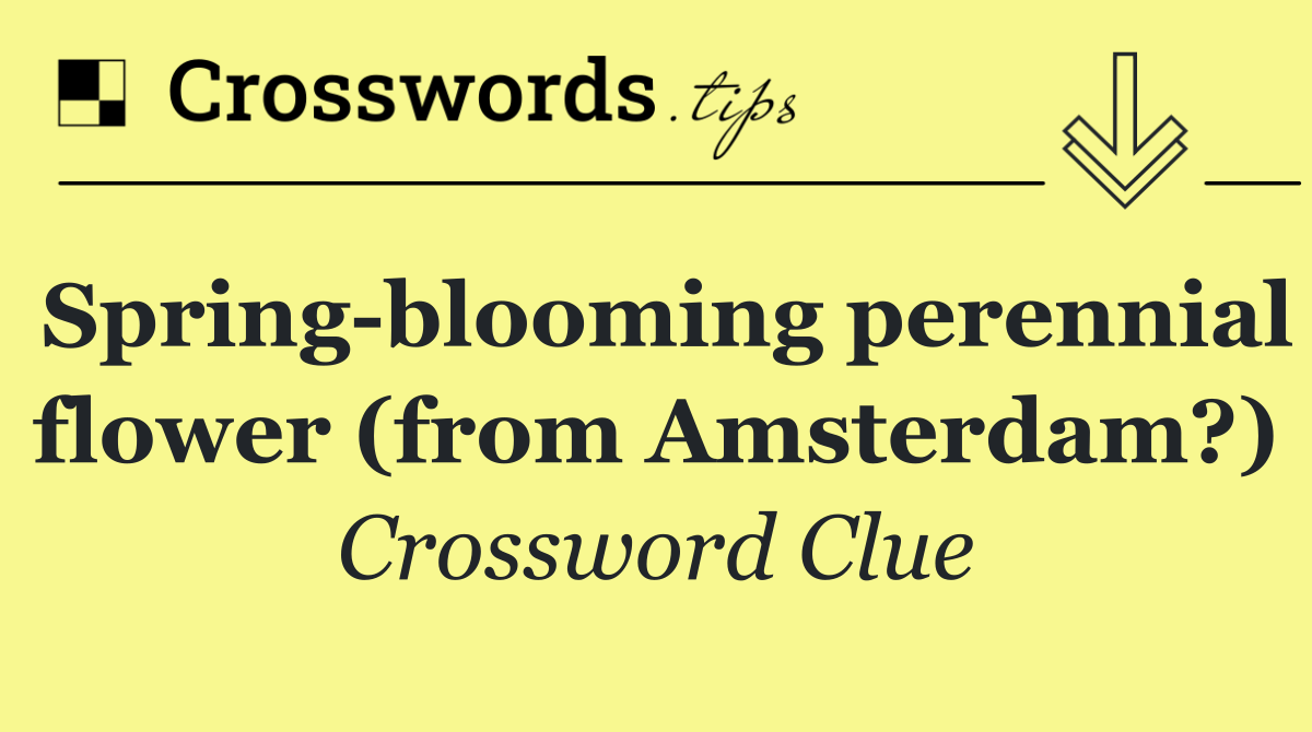 Spring blooming perennial flower (from Amsterdam?)