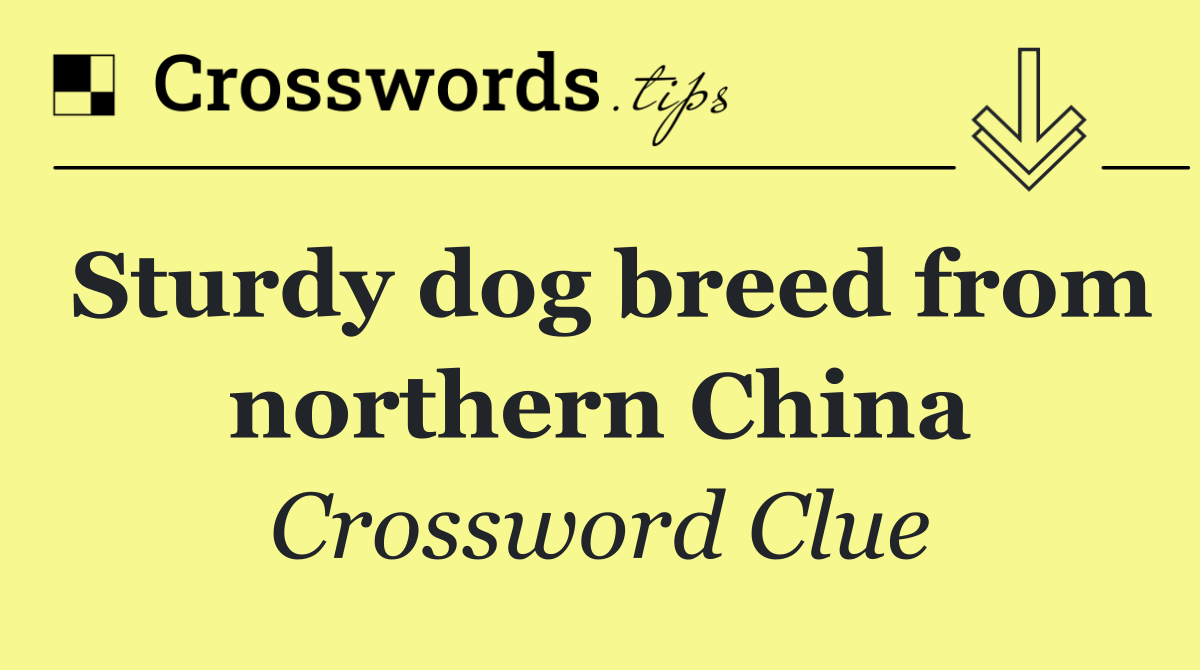 Sturdy dog breed from northern China