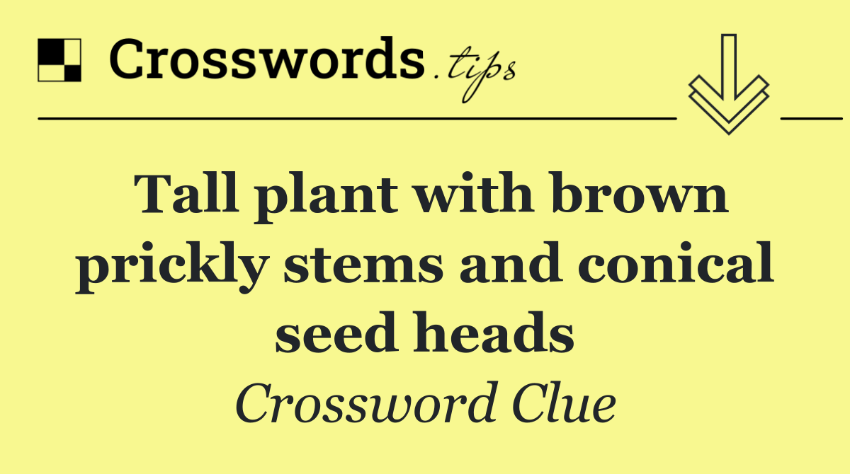 Tall plant with brown prickly stems and conical seed heads