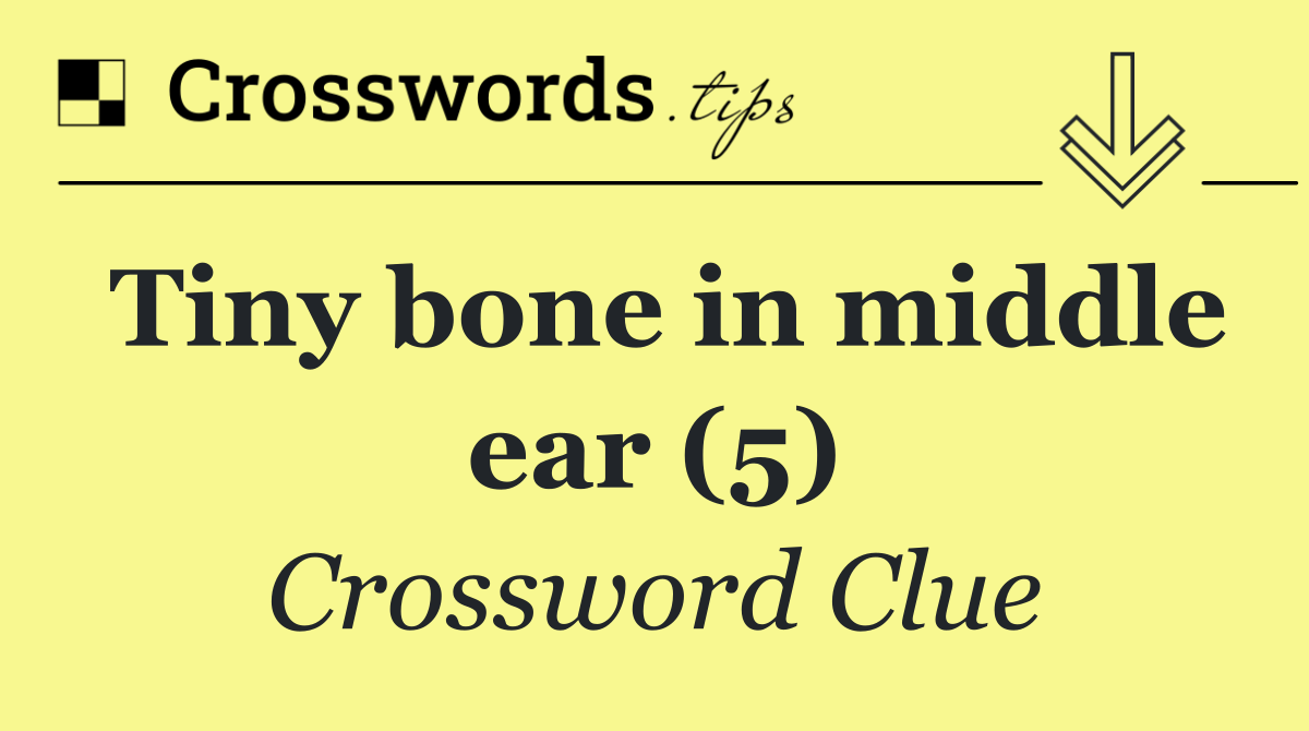 Tiny bone in middle ear (5)