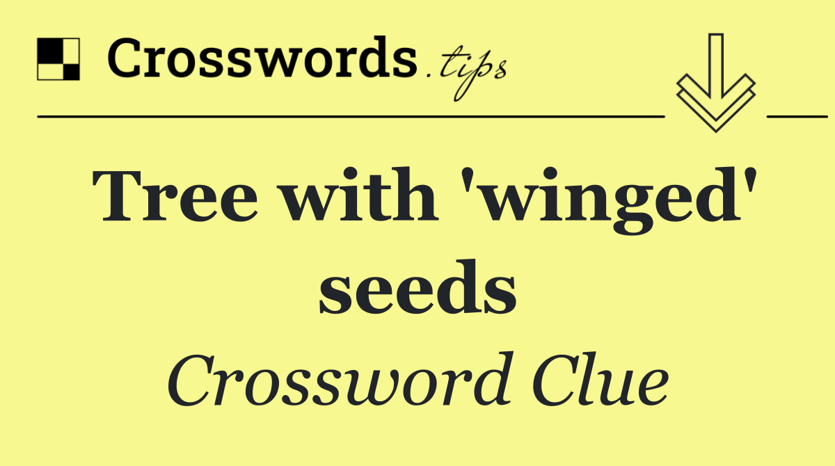 Tree with 'winged' seeds