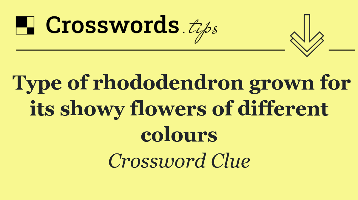Type of rhododendron grown for its showy flowers of different colours