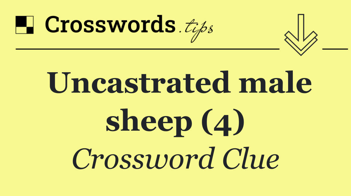 Uncastrated male sheep (4)