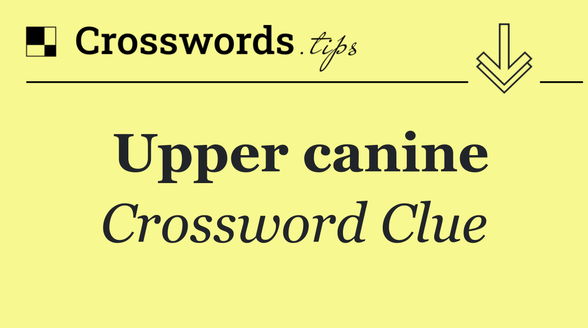 Upper canine