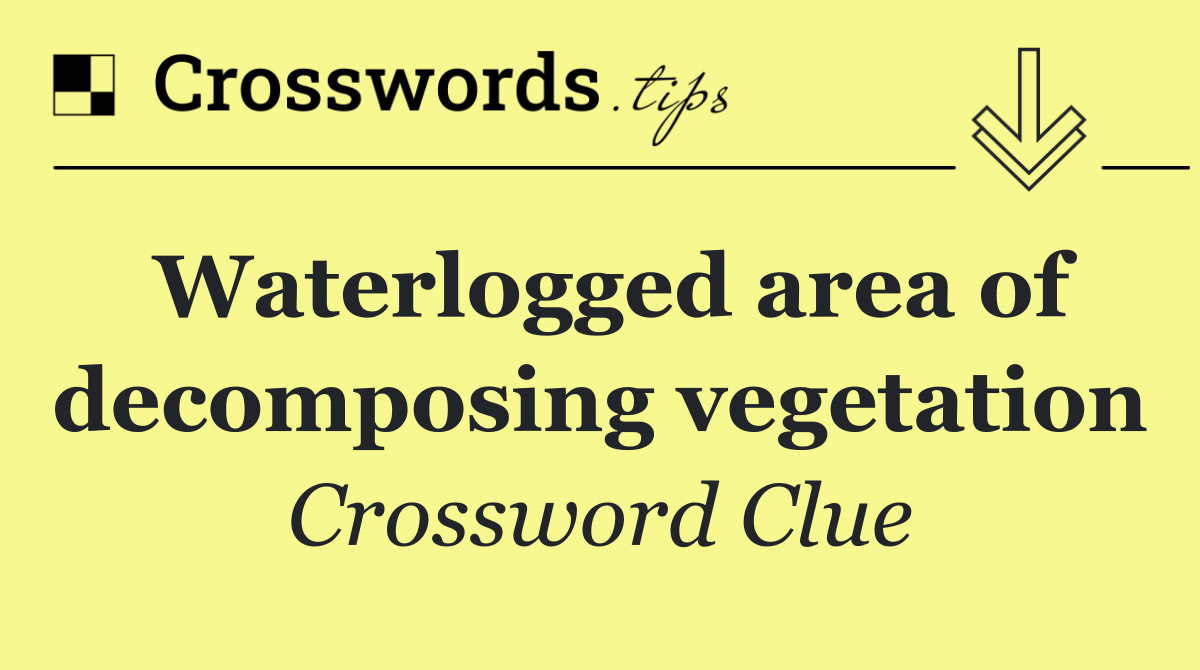Waterlogged area of decomposing vegetation