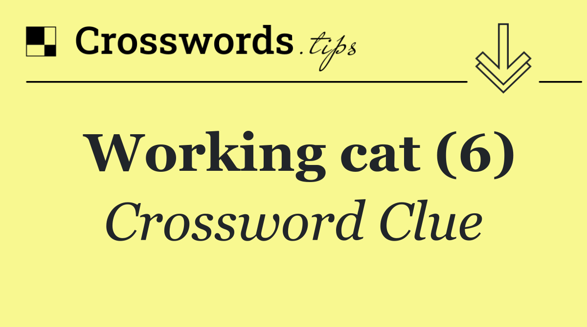 Working cat (6)