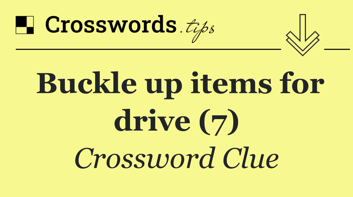 Buckle up items for drive (7)