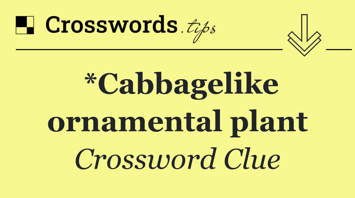 *Cabbagelike ornamental plant