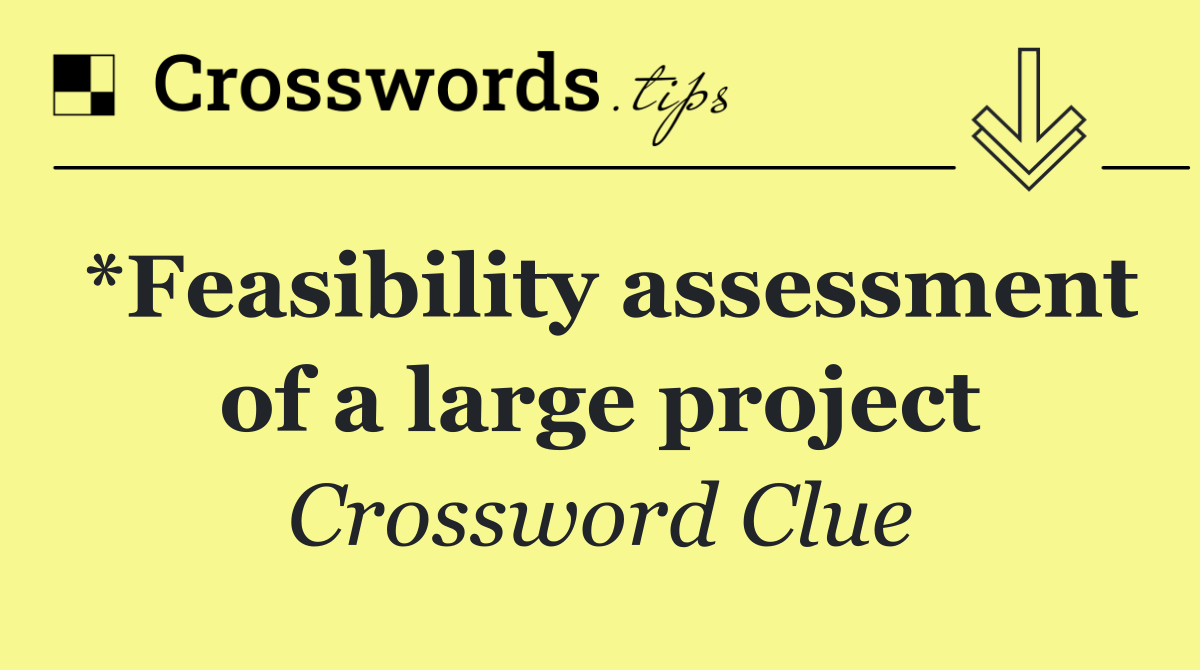*Feasibility assessment of a large project