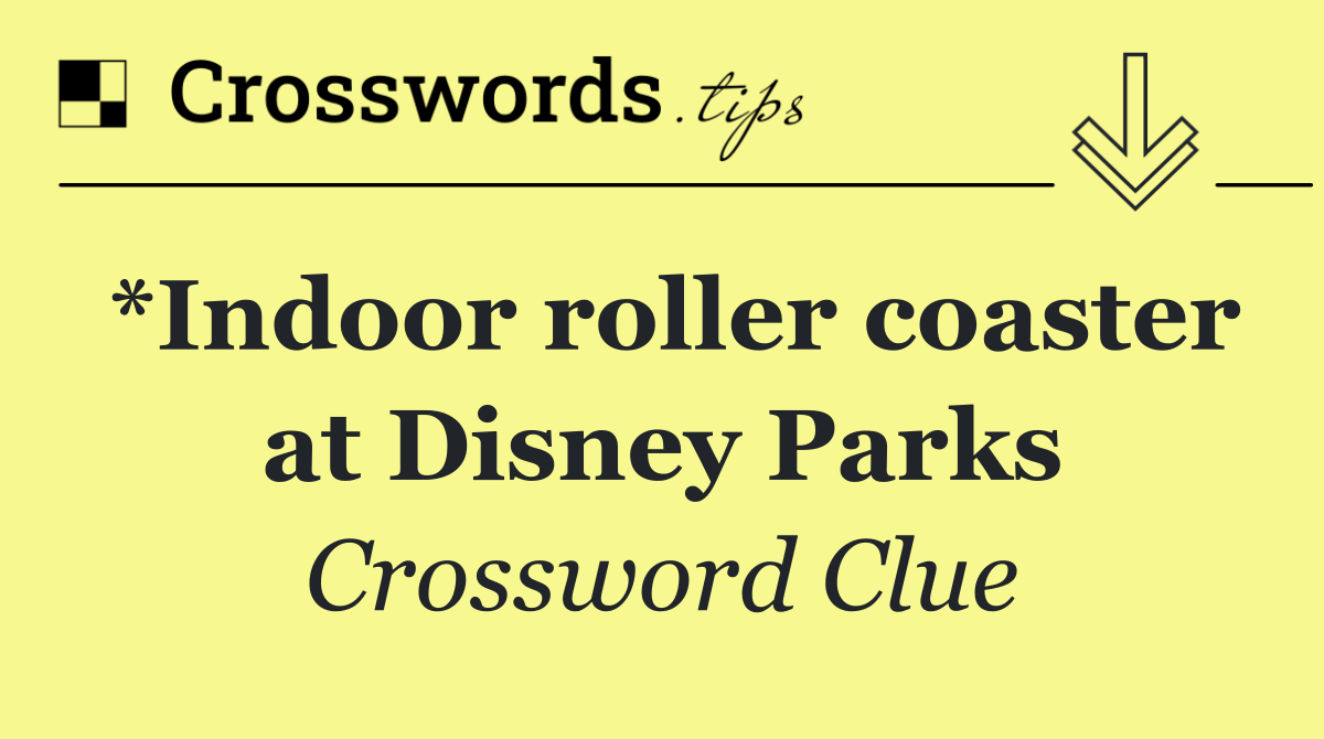 *Indoor roller coaster at Disney Parks
