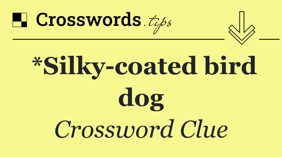 *Silky coated bird dog