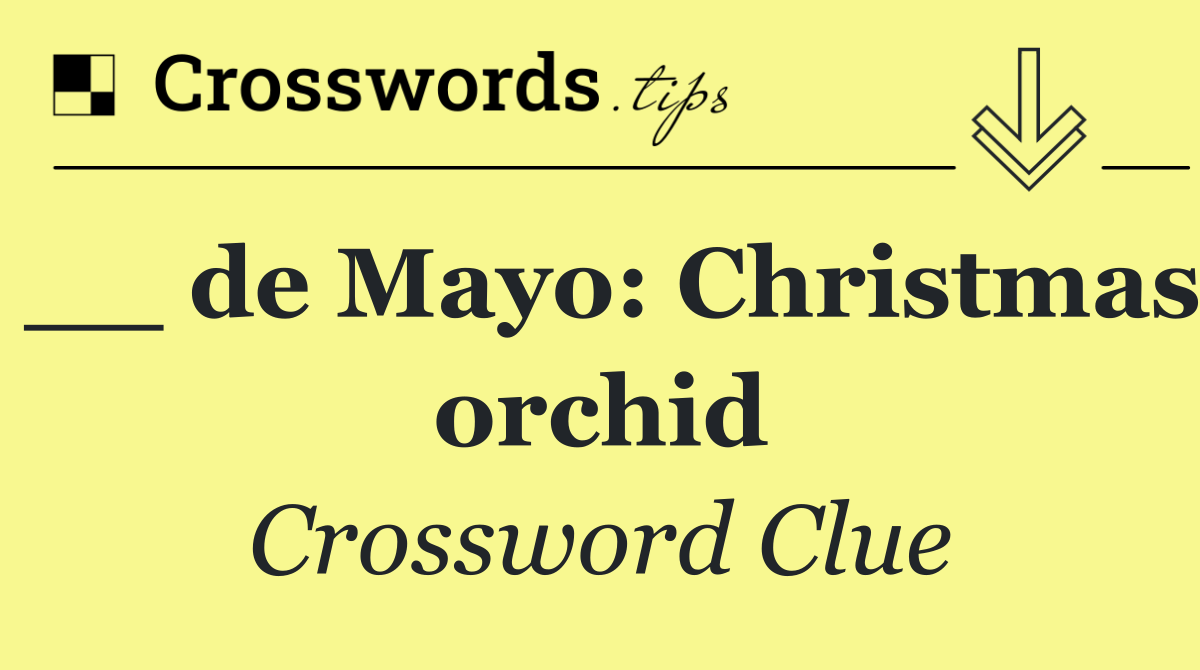 __ de Mayo: Christmas orchid