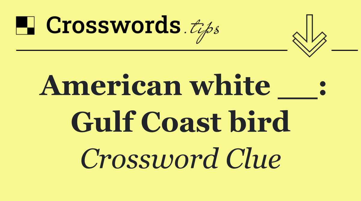 American white __: Gulf Coast bird