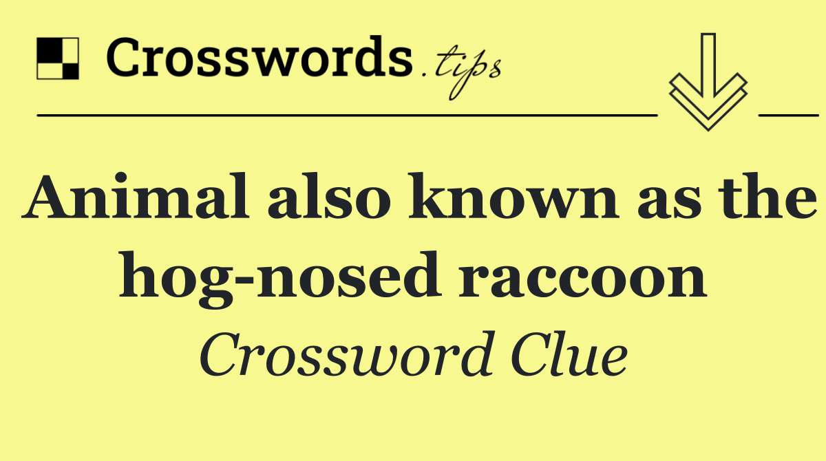 Animal also known as the hog nosed raccoon