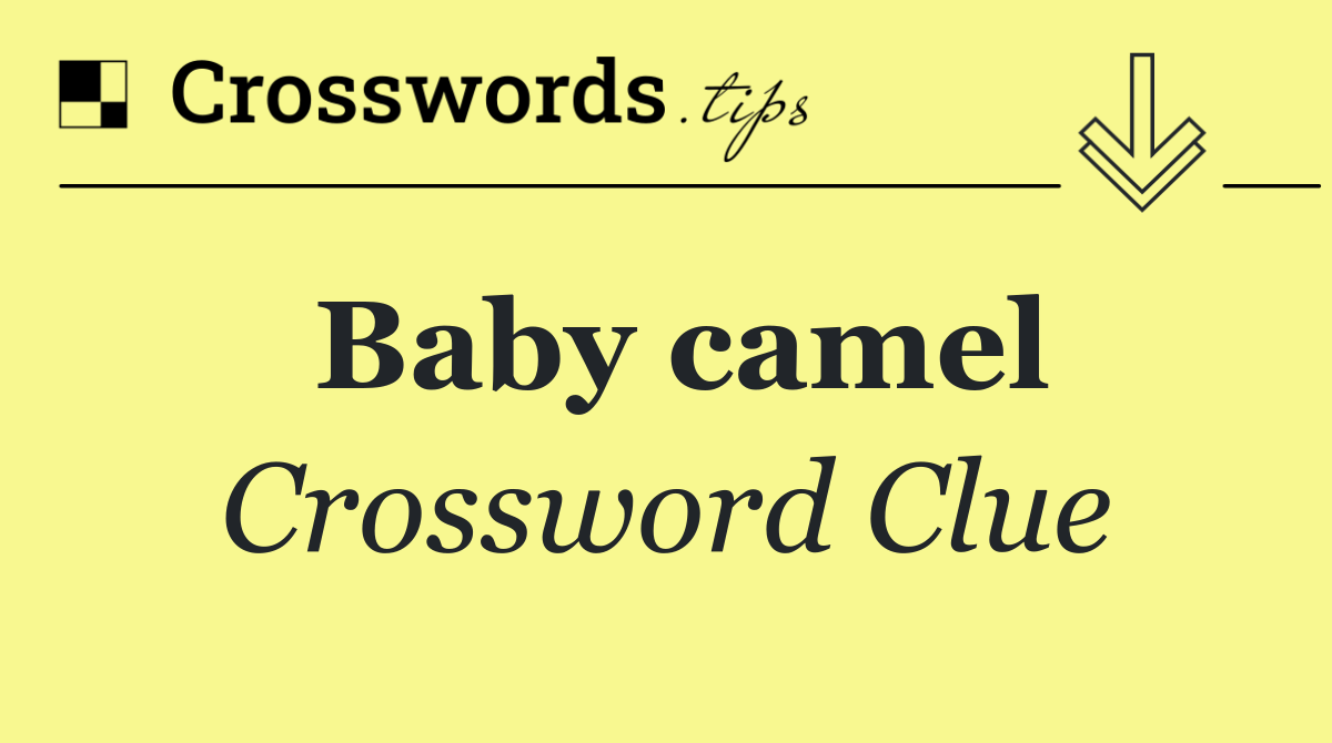 Baby camel