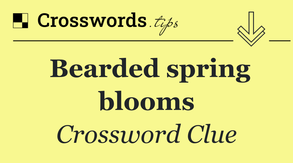Bearded spring blooms