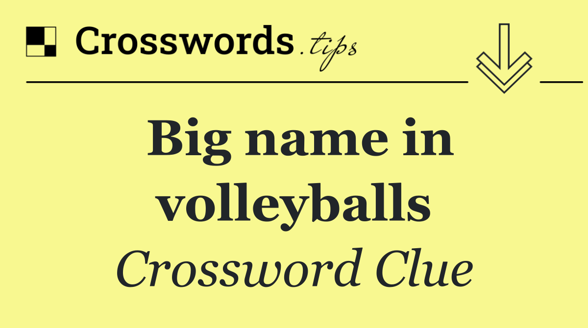 Big name in volleyballs