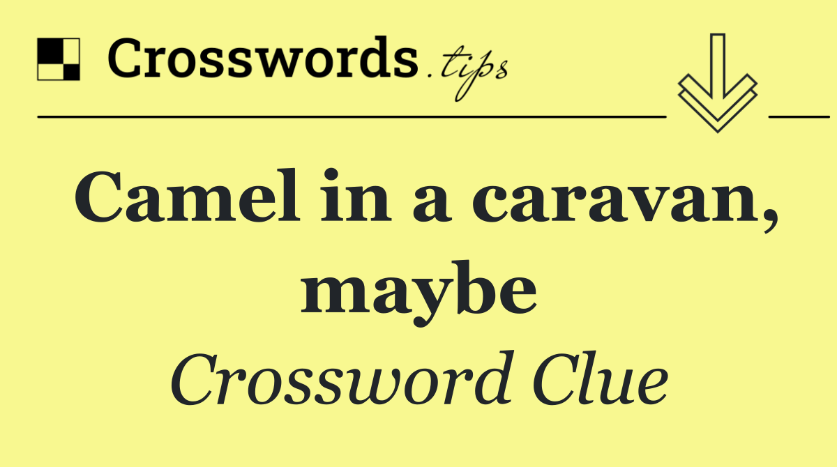 Camel in a caravan, maybe