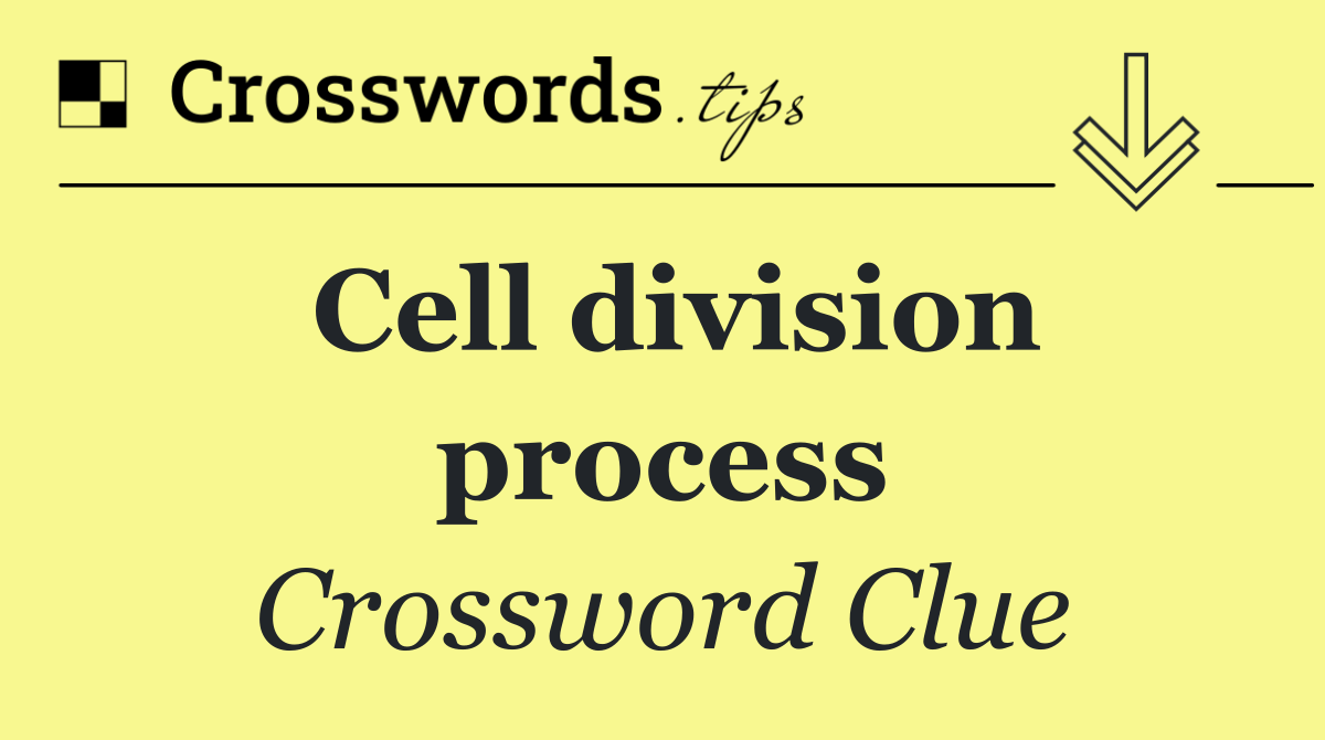 Cell division process
