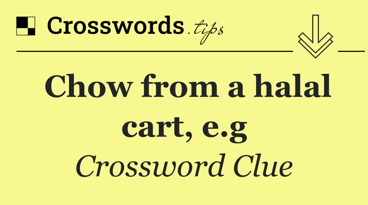 Chow from a halal cart, e.g