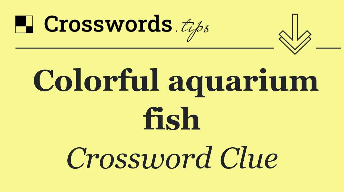 Colorful aquarium fish