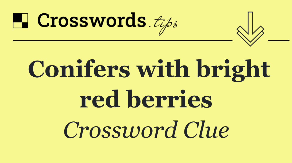 Conifers with bright red berries